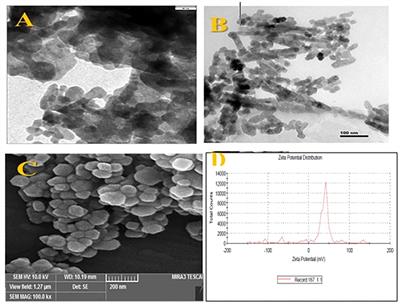 Application of Fe2O3 nanoparticles improves the growth, antioxidant power, flavonoid content, and essential oil yield and composition of Dracocephalum kotschyi Boiss.